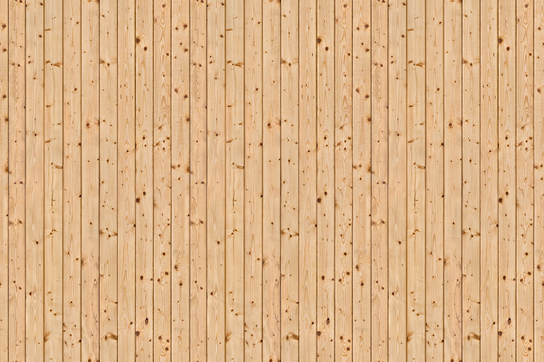 Holz v5